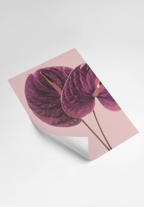poster with flowers